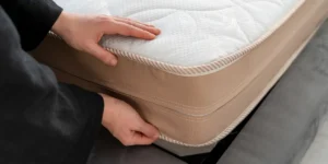 mattress cover bag for Moving